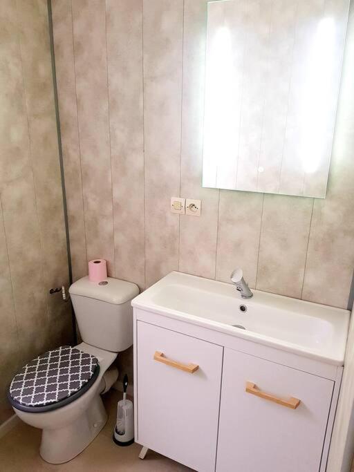Le Jeanne 4/6 Couchages, Wifi, Sanctuaire Lourdes Exterior foto